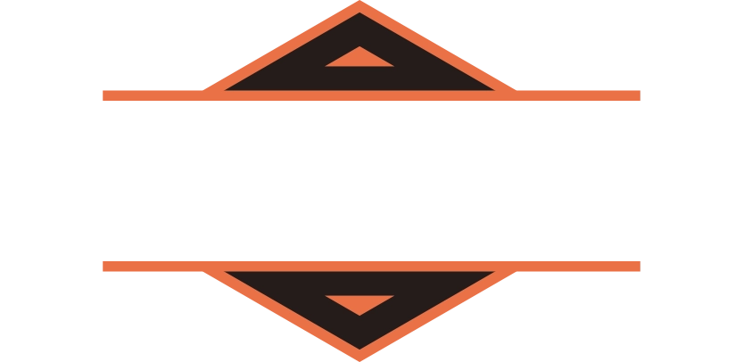 logo v3
